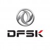 DSFK